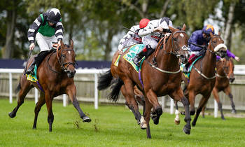 July Stakes: Timeform preview, tip and free racecard