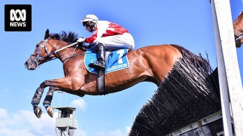 Jumps racing to be removed from South Australia's racing calendar from next year