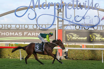 Jungle Magnate powers to SA Derby win