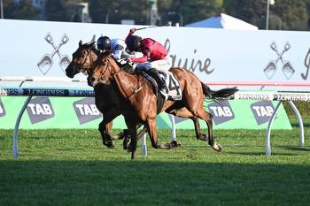 Just Fine's odds shorten for the Melbourne Cup 2023