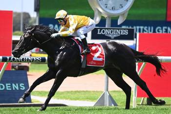 Juveniles in last-ditch Golden Slipper bids