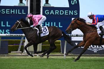Kathy O'Hara lands Majestic win in slick time
