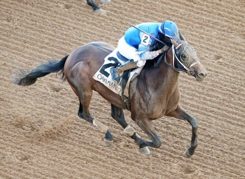 Keeneland Breeder Spotlight: Albaugh Family Back on Derby Trail