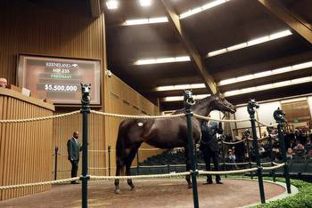 Keeneland November Breeding Stock Sales Ends With Robust Results