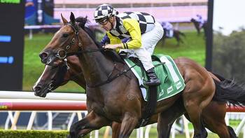 Kembla preview: Bad draw forces tactics change for Earl Of Devon