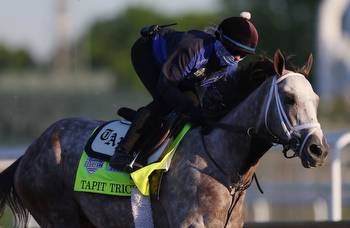 Kentucky Derby 2023: Odds, horses, complete bettor's guide