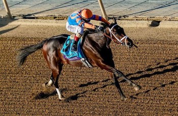 Kentucky Derby 2024: 14 early candidates are on work tab