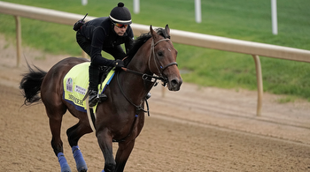 Kentucky Derby Best Bets: Messier Provides Strong Betting Opportunity