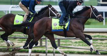 Kentucky Derby betting odds: Angel of Empire, horse bred in Pennsylvania, is tied for best odds to win race