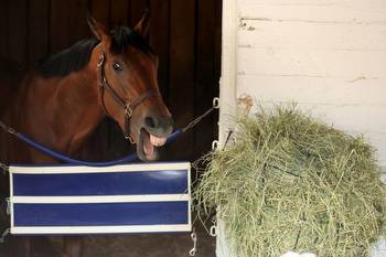 Kentucky Derby favorite Forte draws the No. 15 position