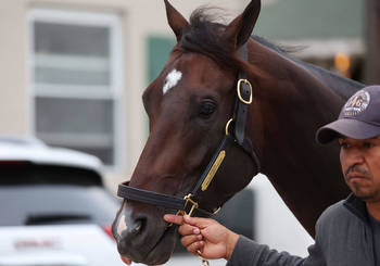 Kentucky Derby favorite Forte scratched from race: Who’s the favorite now?