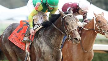 Kentucky Derby pedigree profile: Confidence Game