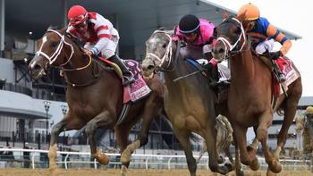 Kentucky Derby pedigree profile: Lord Miles