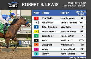 Kentucky Derby prep fair odds: Nysos will be over-bet in Lewis