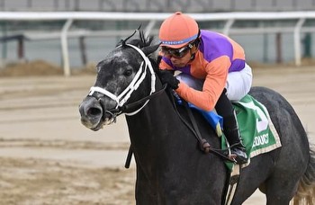 Kentucky Derby prep: Gotham Stakes odds and analysis