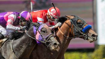 Kentucky Derby prep race results from Santa Anita Derby, Wood Memorial