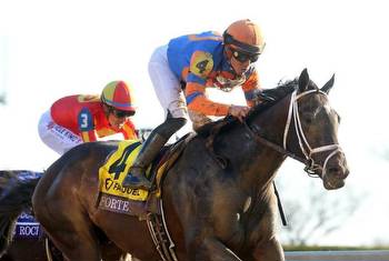 Kentucky Derby Report: Forte brings top credentials to the New Year