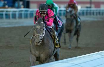 Kentucky Derby trail: Hit Show finds room to win Withers