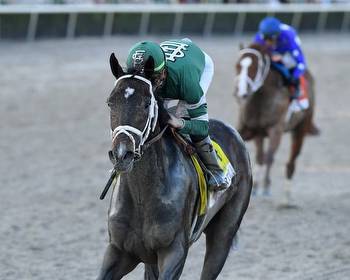 Kentucky Derby Trifecta Picks: 1-2-3 Churchill Downs Tips