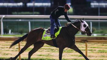 Kentucky Derby: Wild On Ice just one of many horses lost to the sport
