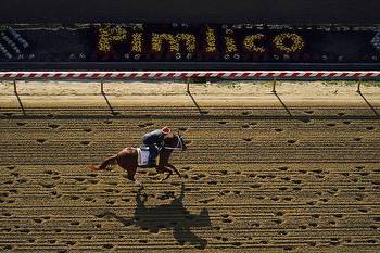 Kentucky Derby winner Mage faces small but tough field at Preakness Stakes