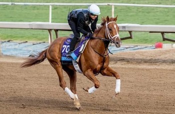 Kentucky Derby workouts: After missing race, Locked is back