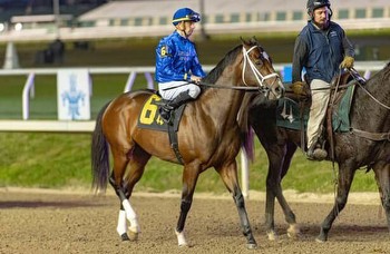 Kentucky Derby works: 10 Vegas futures choices are on the tab