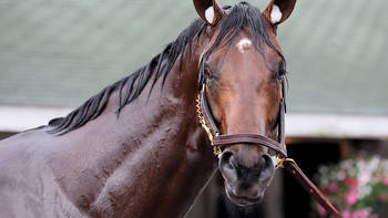 Kentucky Derby's Epicenter: Descended from Donuts and American Dream