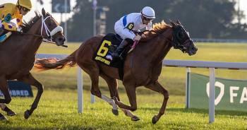 Kentucky Downs: Betting, purses, enthusiasm all up