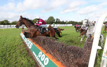 Kerry National tips and runner-by-runner guide to Listowel 4.20