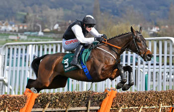 Key entries to note and horses to follow at Cheltenham this week