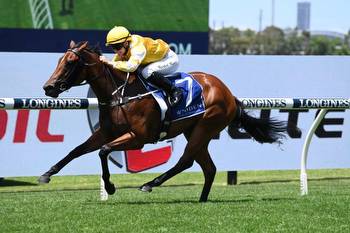 King and Queen have a Ball in Widden Stakes