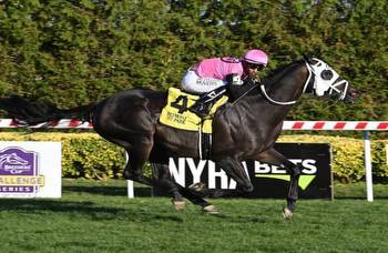 King Cause upsets Knickerbocker for 1st graded stakes win