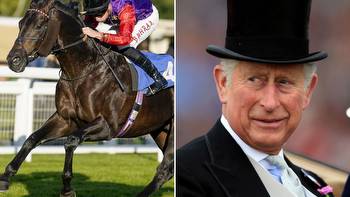 King Charles sees first runner in royal colours get turned over as favourite Educator flops at Salisbury