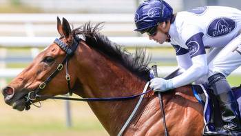 King Frankel Sydney Cup bound after resuming in Parramatta Cup