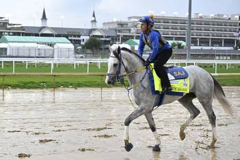 King George & Queen Elizabeth Stakes/Haskell Stakes Odds & Picks