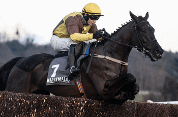 King George Chase Betting Tips