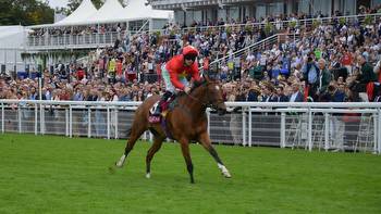 King George Qatar Stakes report and replay: Highfield Princess brilliant winner