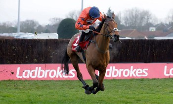 King George VI Chase Odds: Bravemansgame Drifts Out To 2/1
