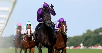 King of Steel a warm order for Irish Champion Stakes success