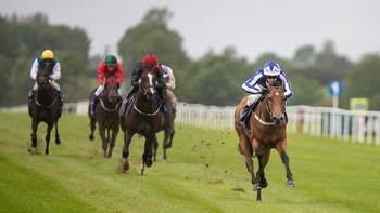 King Power move Sunday Sovereign and Johnny Drama to Britain after Ascot defeats