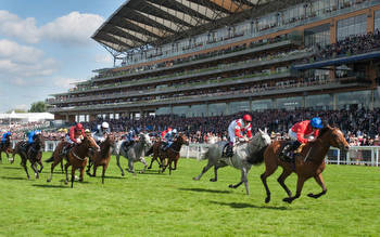 King's Stand Stakes 2023 Field, Tips, Betting Odds, Results
