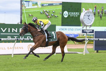 Kiwi filly proves her Prowess in the Vinery