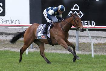 Kiwi raider adds intrigue to Hobartville Stakes