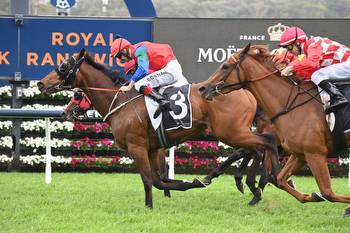 Kiwi raider heads early odds in the Victoria Derby