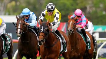 Kiwi sensation Prowess destroys rivals in Group 1 Vinery Stud Stakes