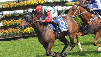 Kosciuszko winners Handle The Truth, It's Me and Art Cadeau chasing second success in big race