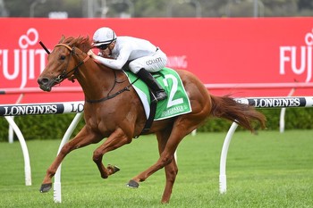 Kote eyes WFA test in the Expressway Stakes