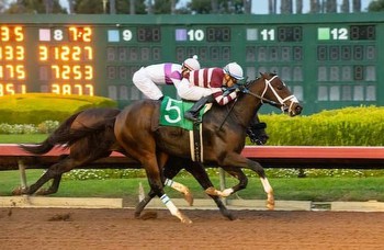 Ky. Derby 2024: Last-out stakes winner leads 5 on Friday tab