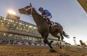 Ky. Derby prep: Jace’s Road leads all the way in Gun Runner